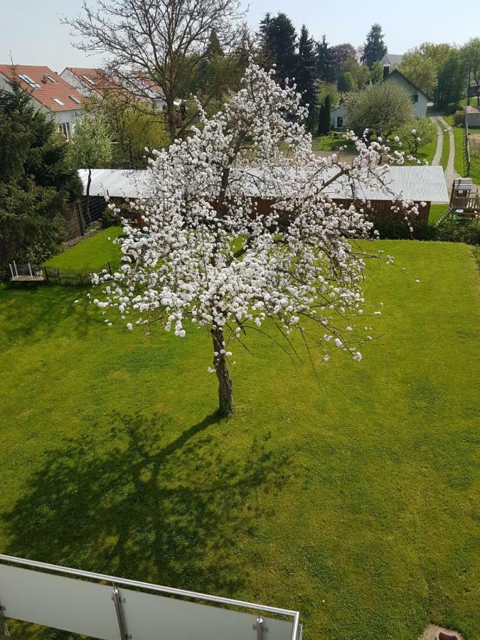 Apartment Near Frankfurt, Fantastic View! Usingen Zewnętrze zdjęcie